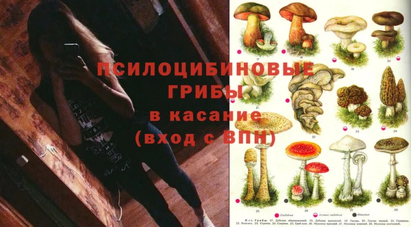 скорость Белокуриха