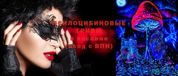 крисы Беломорск