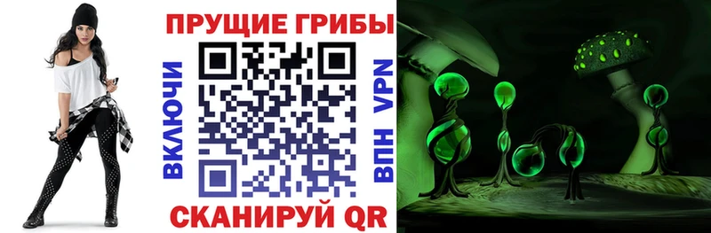 Галлюциногенные грибы Cubensis Великий Устюг