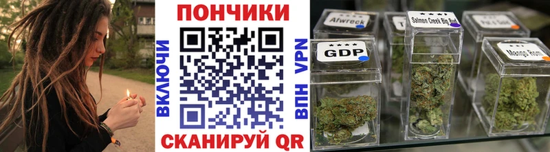 блэк спрут ссылка Великий Устюг Бошки марихуана план сколько стоит
